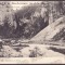 405 - Arges, Defileul DAMBOVICIOAREI, Romania - old postcard - unused