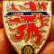 I.821 FRANTA INSIGNA MILITARA INFANTERIE 99th Infantry Regiment (1855?1997)