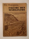 Ilie Hașeganu - Figuri din Mărginime (vol. II: cărturari, &icirc;ndrumători culturali...)