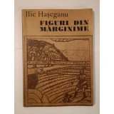 Ilie Hașeganu - Figuri din Mărginime (vol. II: cărturari, &icirc;ndrumători culturali...)