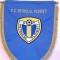 Fanion (de protocol-brodat) fotbal - FC PETROLUL PLOIESTI (dimensiuni mari)