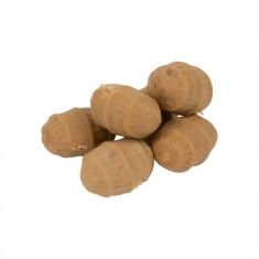Faith Artificial Popup Tiger Nuts Medium foto