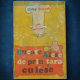 BUCATE ALESE DE PRIN TARA CULESE - GABY BECSEK