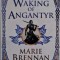 The Waking of Angantyr &ndash; Marie Brennan