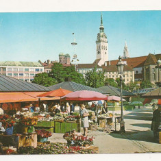 FG5 - Carte Postala - GERMANIA - Munchen market, necirculata