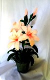 aranjament floral cu flori 48491