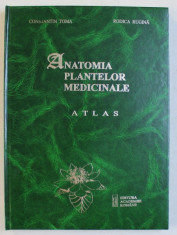 ANATOMIA PLANTELOR MEDICINALE - ATLAS de CONSTANTIN TOMA si RODICA RUGINA , 1998 foto