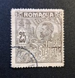 Regele Carol I (Timbre Administrative &amp; Fiscale, c. 1902&ndash;1912) - TIMBRU STATISTIC de 25 BANI Gri-Violet (Dintelat, Verso Curat) RO1