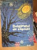 Bulgarasul de zapada , Mircea Pamfilie