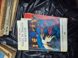 Viata in &icirc;nalta societate vintage