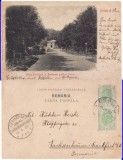 Barlad-Aleea Principala si Pavilionul Gradinei Publice-rara