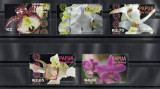 PAPUA NOUA GUINEE 2004 - Flori, Orhidee/ serie MNH, Nestampilat