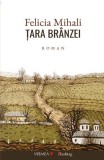Țara br&acirc;nzei - Paperback brosat - Felicia Mihali - Vremea