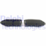 Delphi Ansamblu burduf, directie