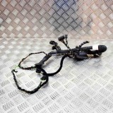 Cablaj ușă st&acirc;nga spate PORSCHE PANAMERA 970 2016 OEM: 970.612.641.22,97061264122 11566997