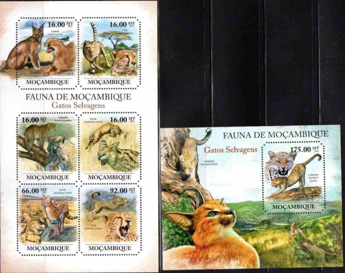 MOZAMBIC 2011 Fauna Feline, serie neuzată, MNH