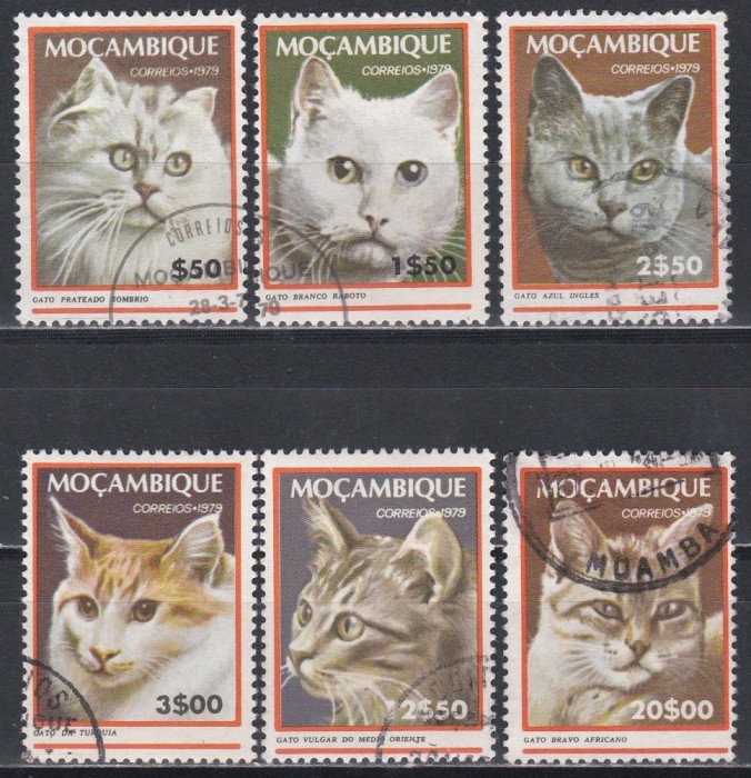 Mozambic 1979 - Pisici domestice, Stampilat