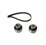 Kit distributie INA 530011810