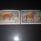 TIMBRE URSS 1959 FAUNA