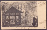 80 - MARAMURES, Park, Litho, Romania - old postcard - unused, Necirculata, Printata