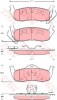 Set placute frana,frana disc JEEP GRAND CHEROKEE II (WJ, WG) (1998 - 2005) TRW GDB4137