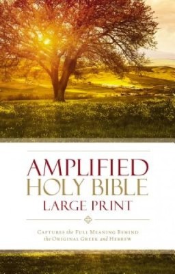 Amplified Bible-Am-Large Print: Captures the Full Meaning Behind the Original Greek and Hebrew foto