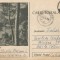 *Romania, Lacul Scropoasa, c.p. 1 circulata intern, 1958