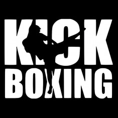 Sticker Kickboxing 20cm ALB foto