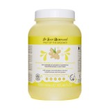 Sampon Iv San Bernard cu Ghimbir si Soc NEW, pentru caini si pisici, 3l