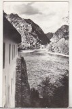 Bnk cp Oltul la Cozia - Vedere - circulata, Printata, Valcea
