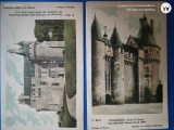 Franta , GRUP DOUA CARTI POSTALE NECIRCULATE , ANII 1920.Castele din Franta , verso reclama la produse medicale POTUBERAGE .