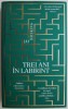 Trei ani in labirint - Jay Hosking - Roman Beletristica