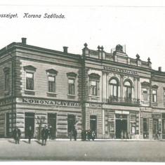 5140 - SIGHET, Maramures, street stores, Romania - old postcard - unused