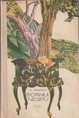 G. CALINESCU - SCRINUL NEGRU foto
