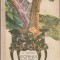 G. CALINESCU - SCRINUL NEGRU