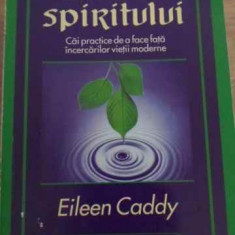 UNDELE SPIRITULUI. CAI PRACTICE DE A FACE FATA INCERCARILOR VIETII MODERNE-EILEEN CADDY