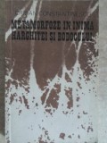 METAMORFOZE IN INIMA HARGHITEI SI BODOCULUI-CRISAN CONSTANTINESCU