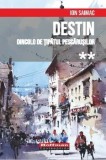 Destin. Dincolo de tipatul pescarusilor. Volumul 2/Ion Saimac, Hoffman