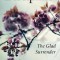 Discipline: The Glad Surrender