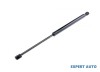 Amortizor capota spate Ford Focus (1998-2004) [DAW, DBW]