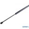 Amortizor capota spate Ford Focus (1998-2004) [DAW, DBW]