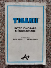 Tiganii Intre Ignorare Si Ingrijorare - Coordonatori: Elena Zamfir, Catalin Zamfir ,554179 foto