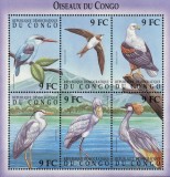 CONGO / GAMBIA 2000 - Pasari / set blocuri MNH ( 3 imagini)