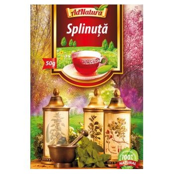 Ceai Splinuta Iarba Adserv 50gr foto