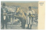 3791 - URSARI, Romania - old postcard - unused