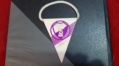 Fanion aniversar Elore Bekescabai foto