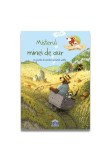 Cumpara ieftin Misterul minei de aur