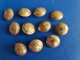 Lot 8 nasturi mici auriti RSR Rom&acirc;nia veston general