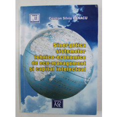 SINERGETICA SISTEMELOR TEHNICO - ECONOMICE DE ECO - MANAGEMENT SI CAPITAL INTELECTUAL de CRISTIAN SILVIU BANACU , 2004