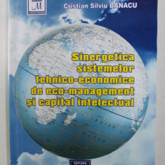 SINERGETICA SISTEMELOR TEHNICO - ECONOMICE DE ECO - MANAGEMENT SI CAPITAL INTELECTUAL de CRISTIAN SILVIU BANACU , 2004